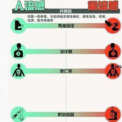 ㌦С֪٣
